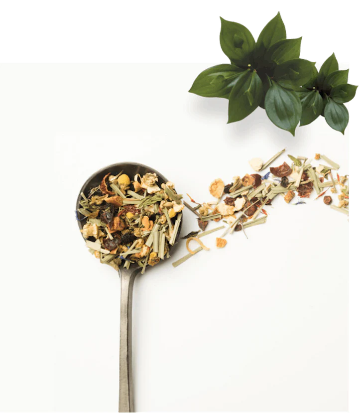 Holistic Healing, Plant-Powered Results