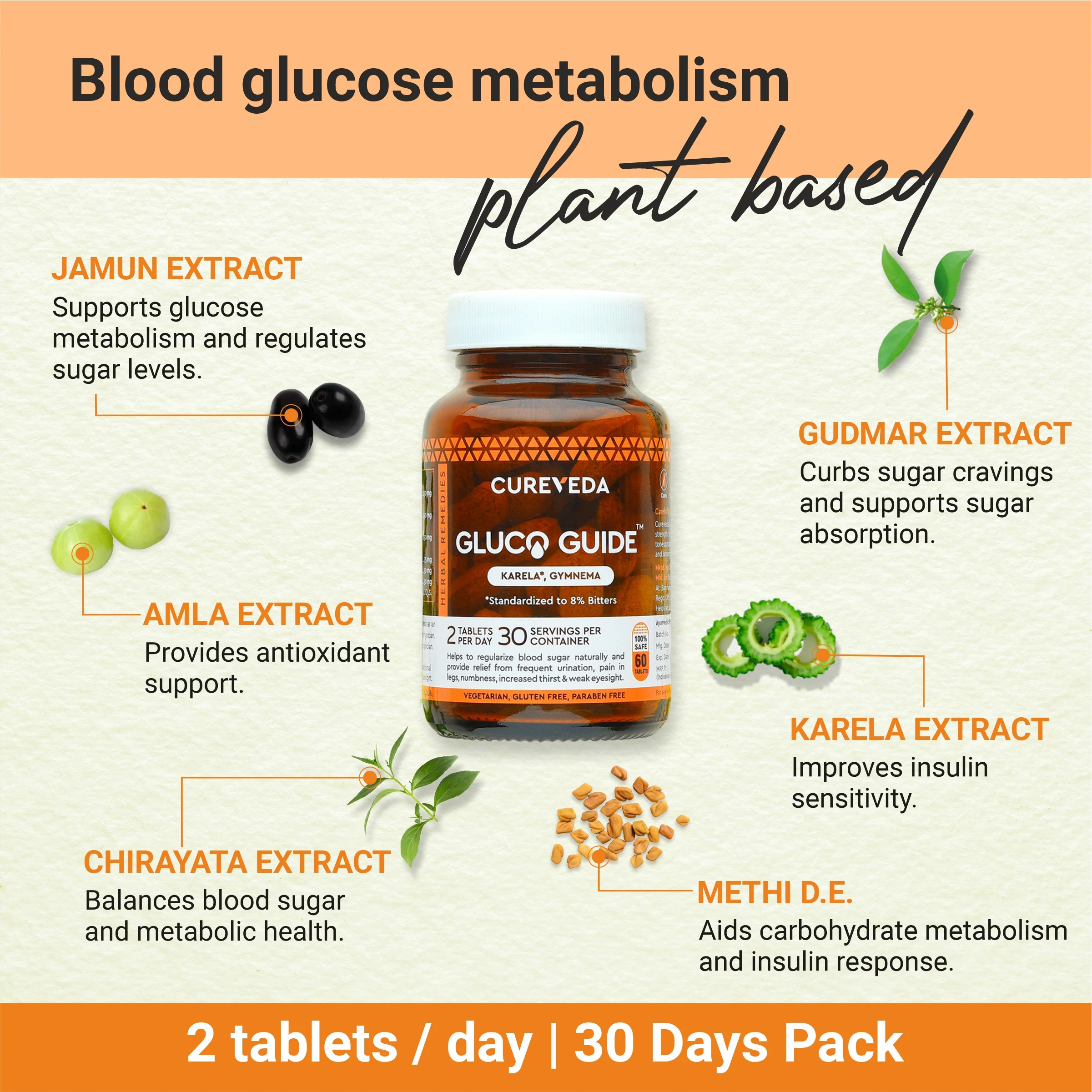 Cureveda Gluco Guide - Image 3
