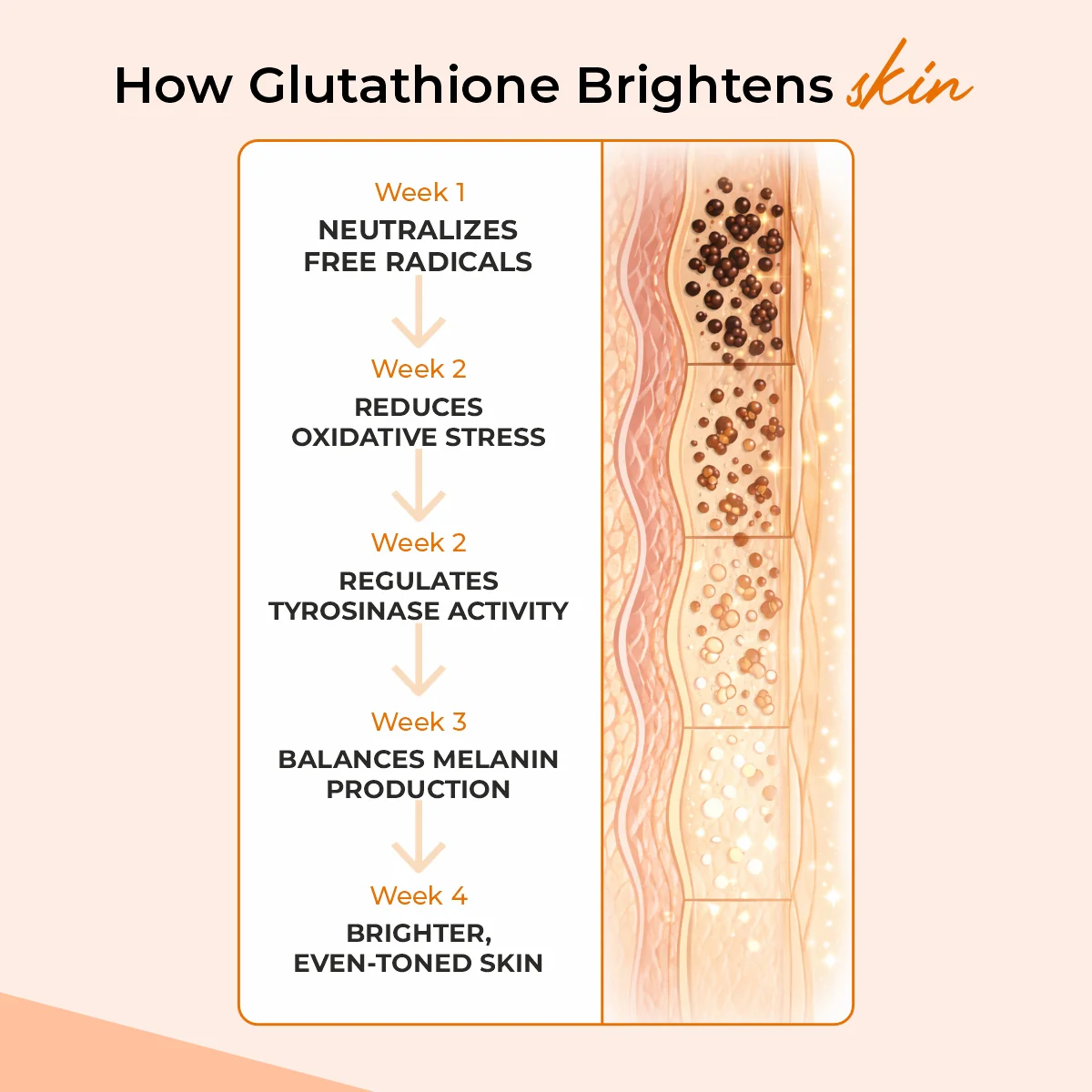 Cureveda Glutathione 98% + pur - Image 6