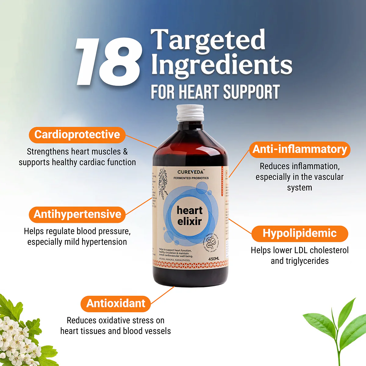 Cureveda Heart Elixir with Fermented Probiotics - Image 4