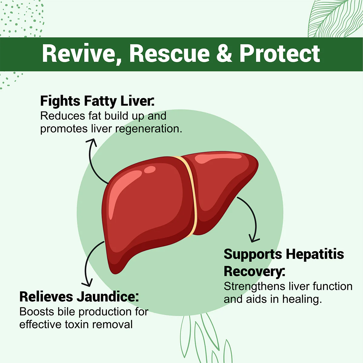 Cureveda Liver Loyal - Image 4