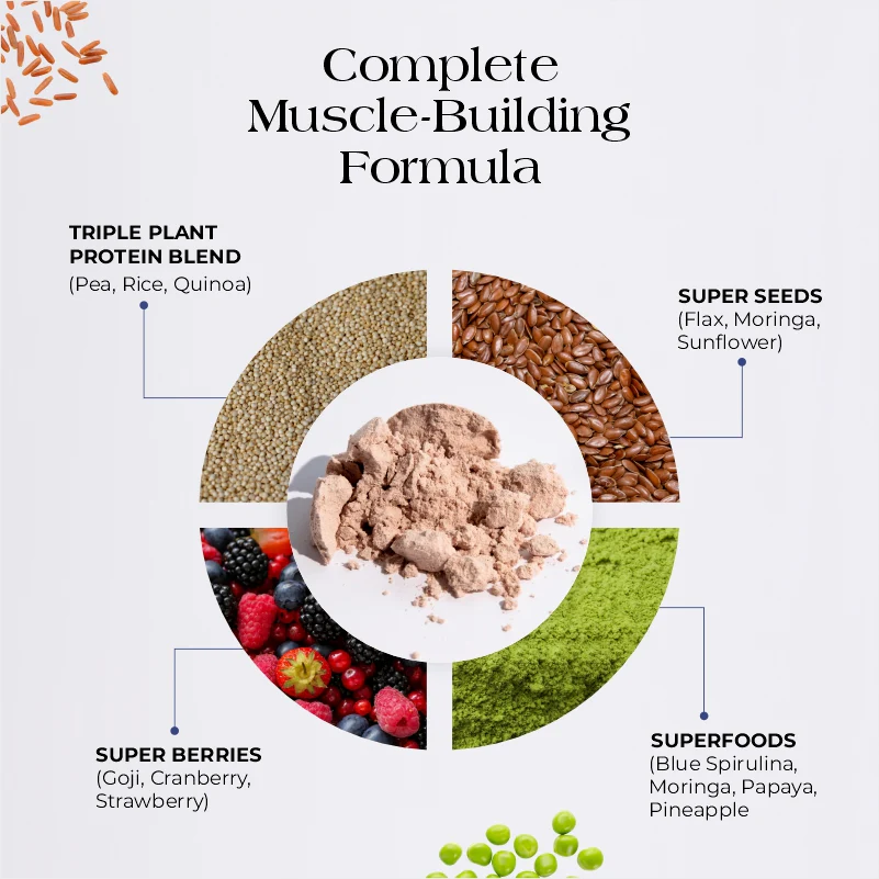 Pro-Build Plant Protein + 6 Mushroom Superpower - Image 15