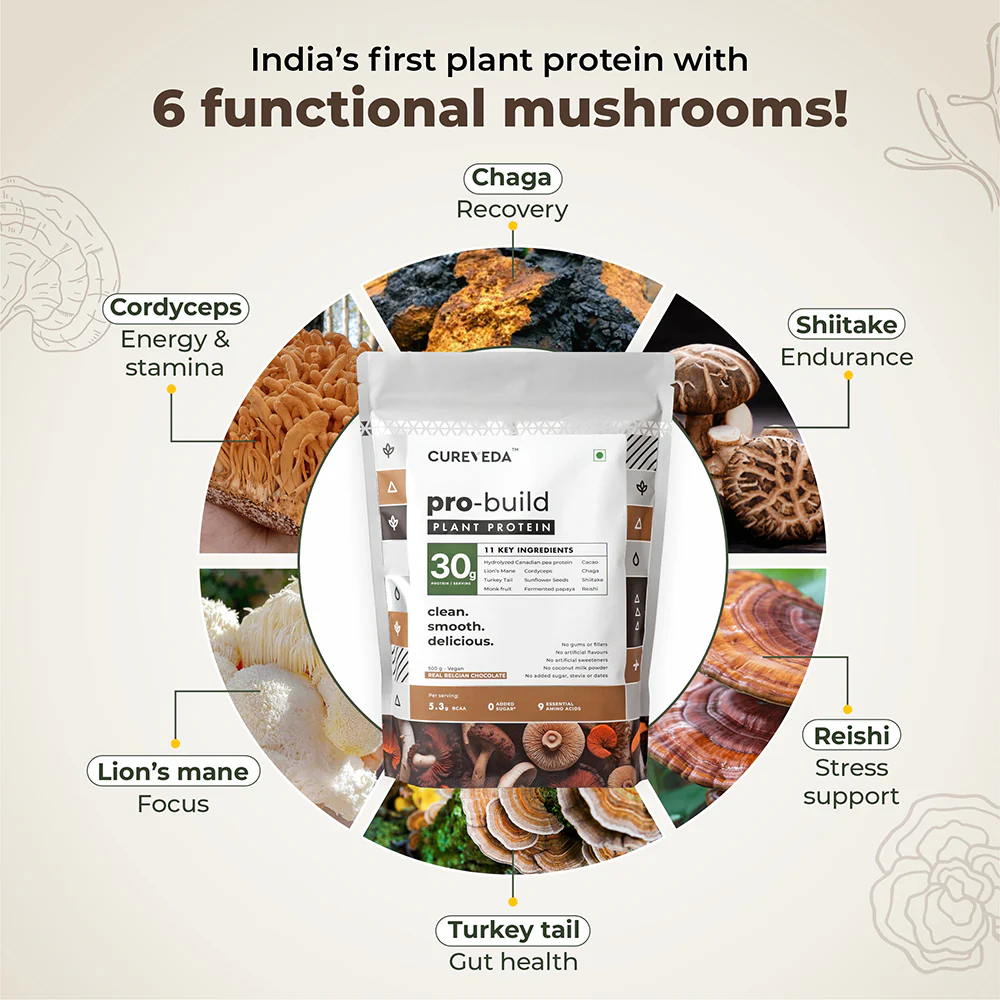 Pro-Build Plant Protein + 6 Mushroom Superpower - Image 3
