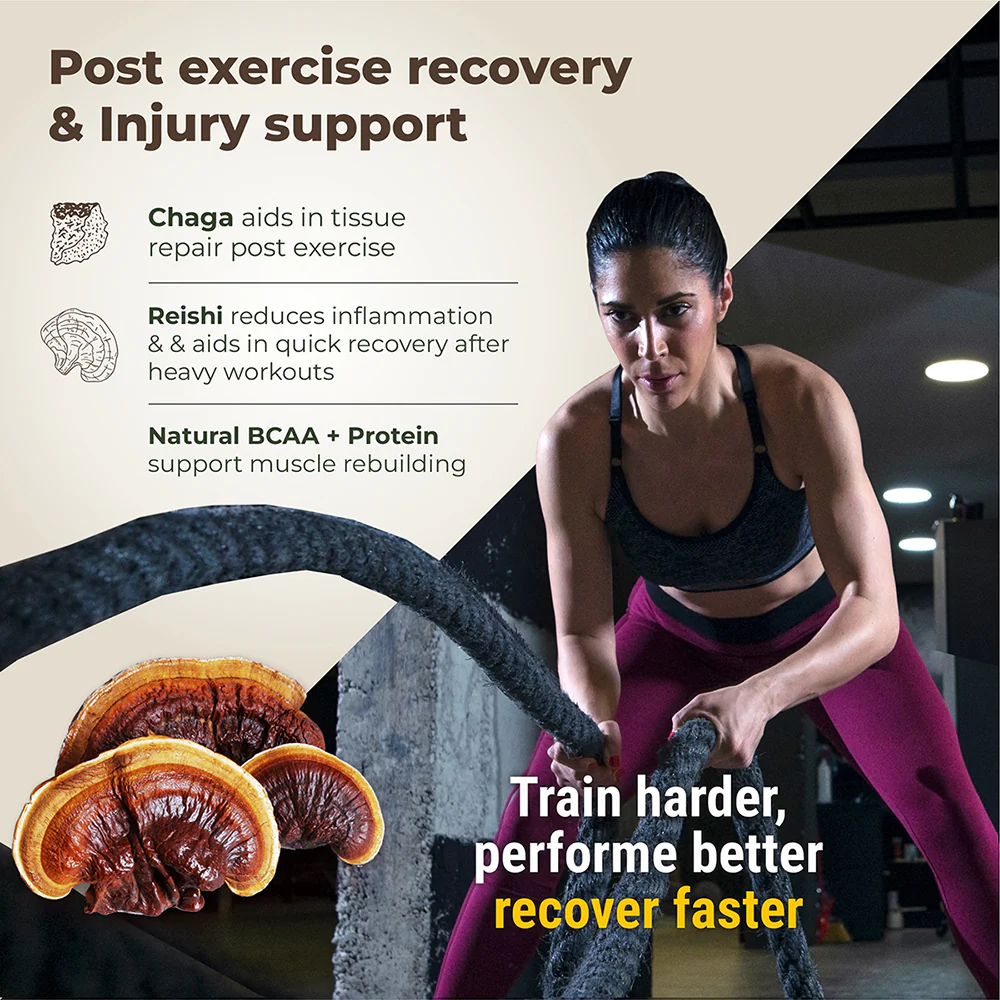 Pro-Build Plant Protein + 6 Mushroom Superpower - Image 5