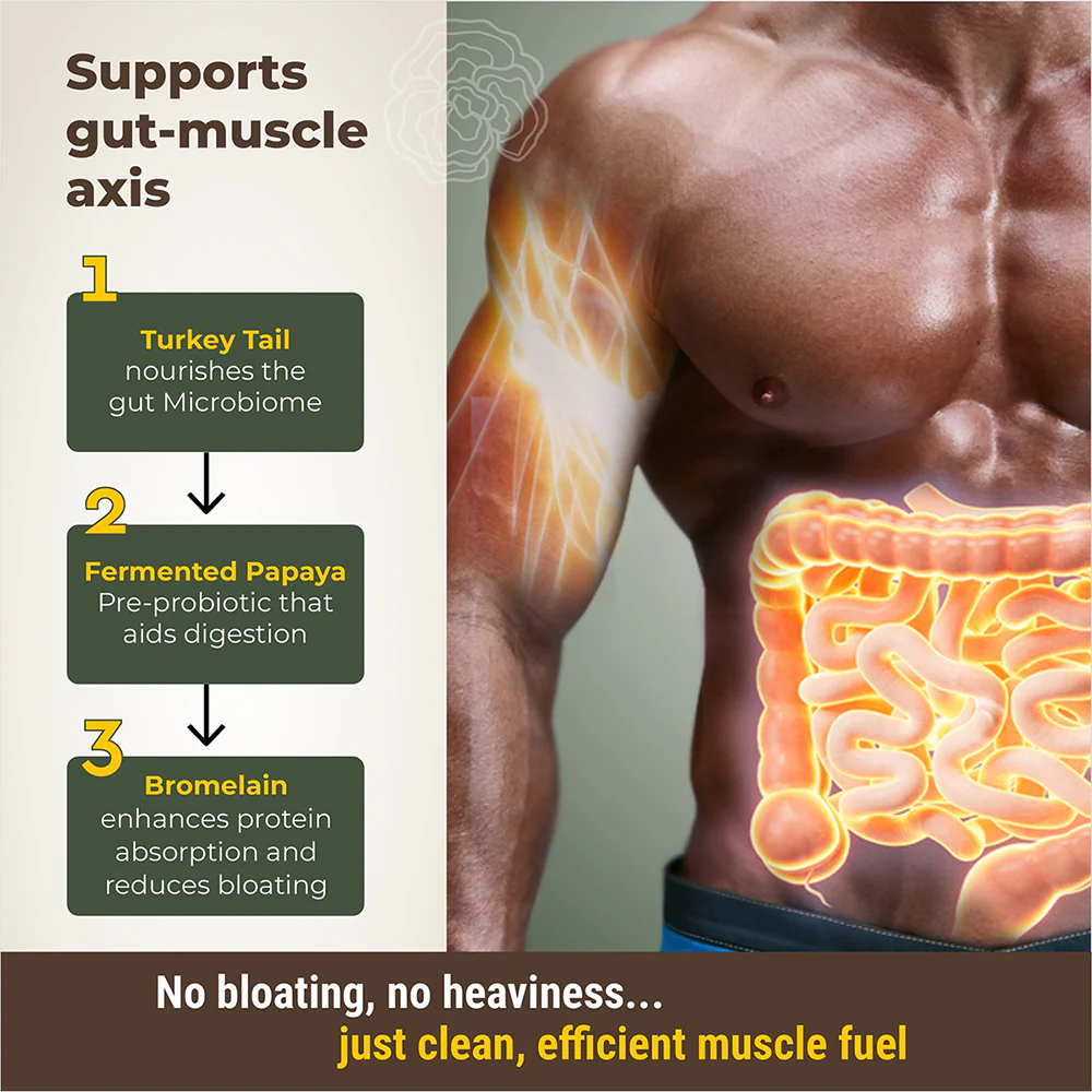 Pro-Build Plant Protein + 6 Mushroom Superpower - Image 7