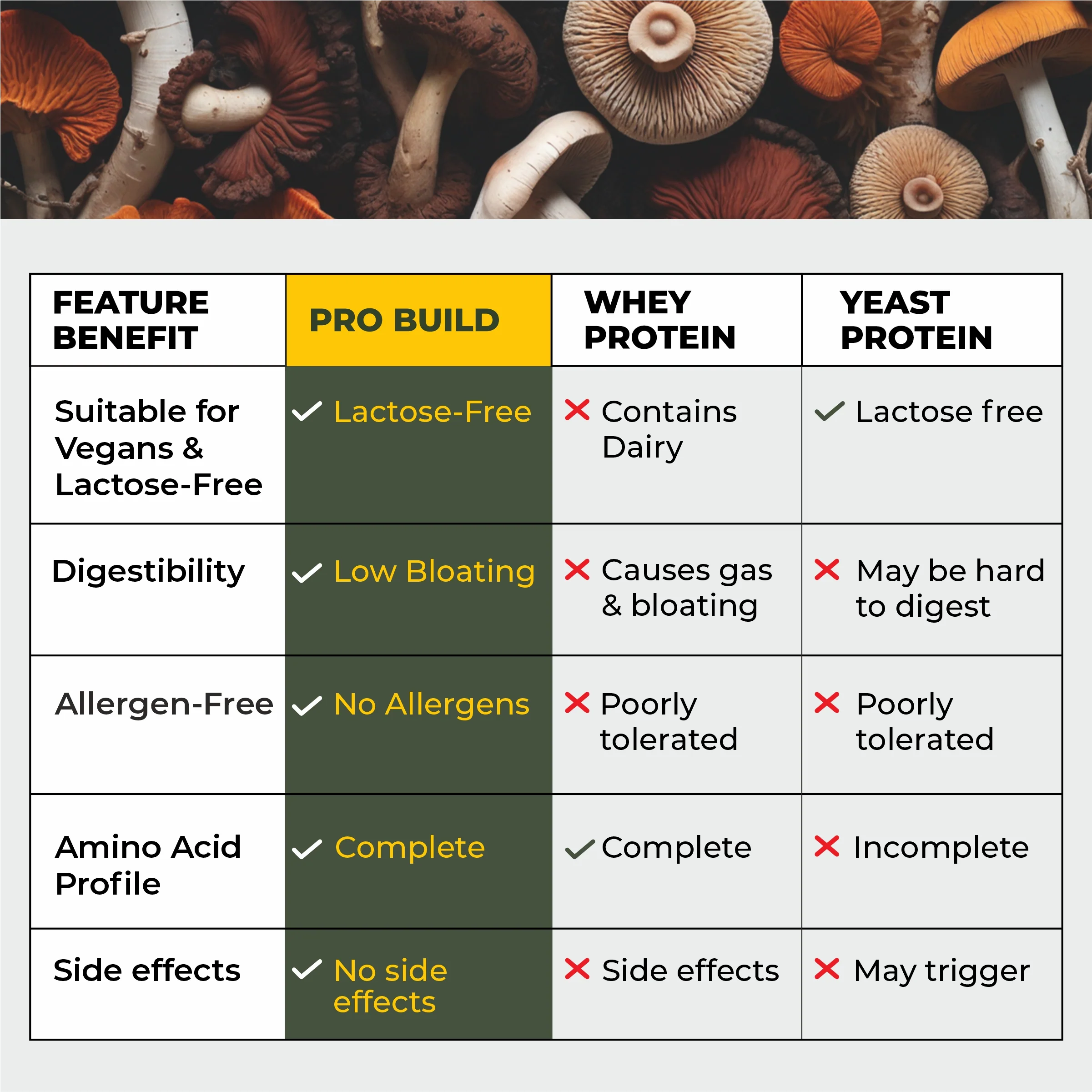 Pro-Build Plant Protein + 6 Mushroom Superpower - Image 8