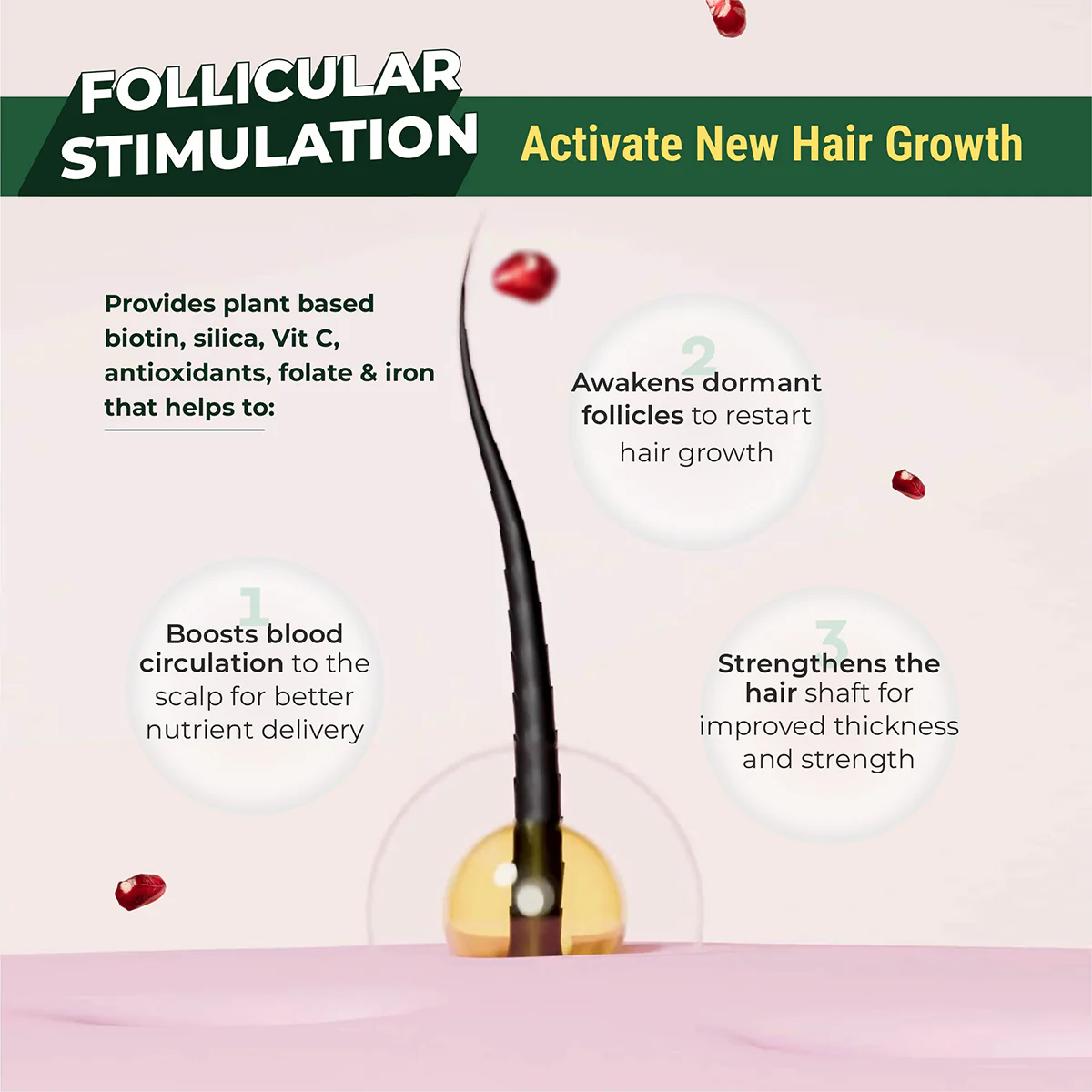 Hair bioten - Hair Vitamins with Plant Biotin - Image 4