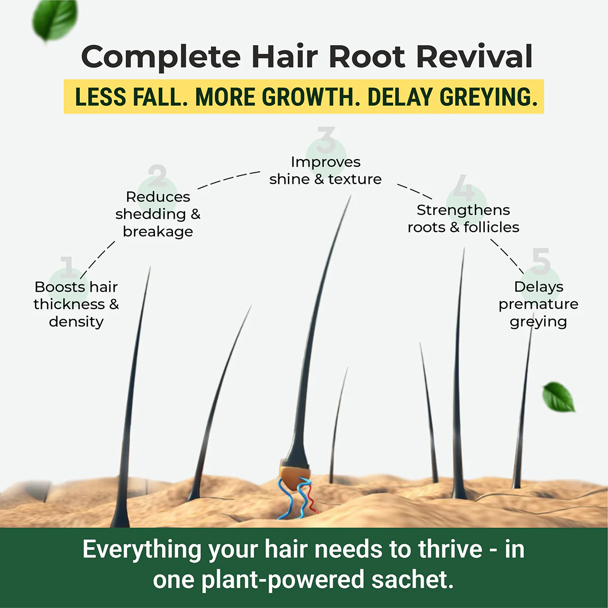Hair bioten - Hair Vitamins with Plant Biotin - Image 5